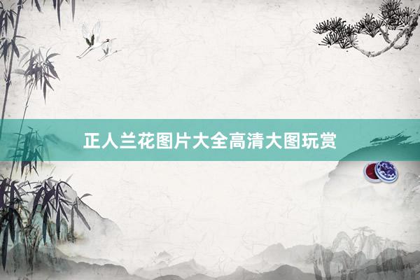 正人兰花图片大全高清大图玩赏