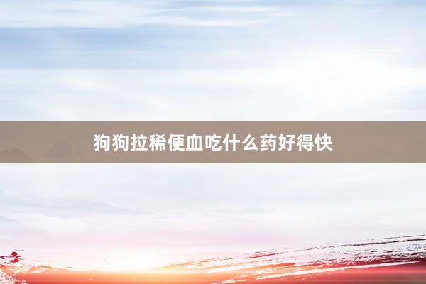 狗狗拉稀便血吃什么药好得快
